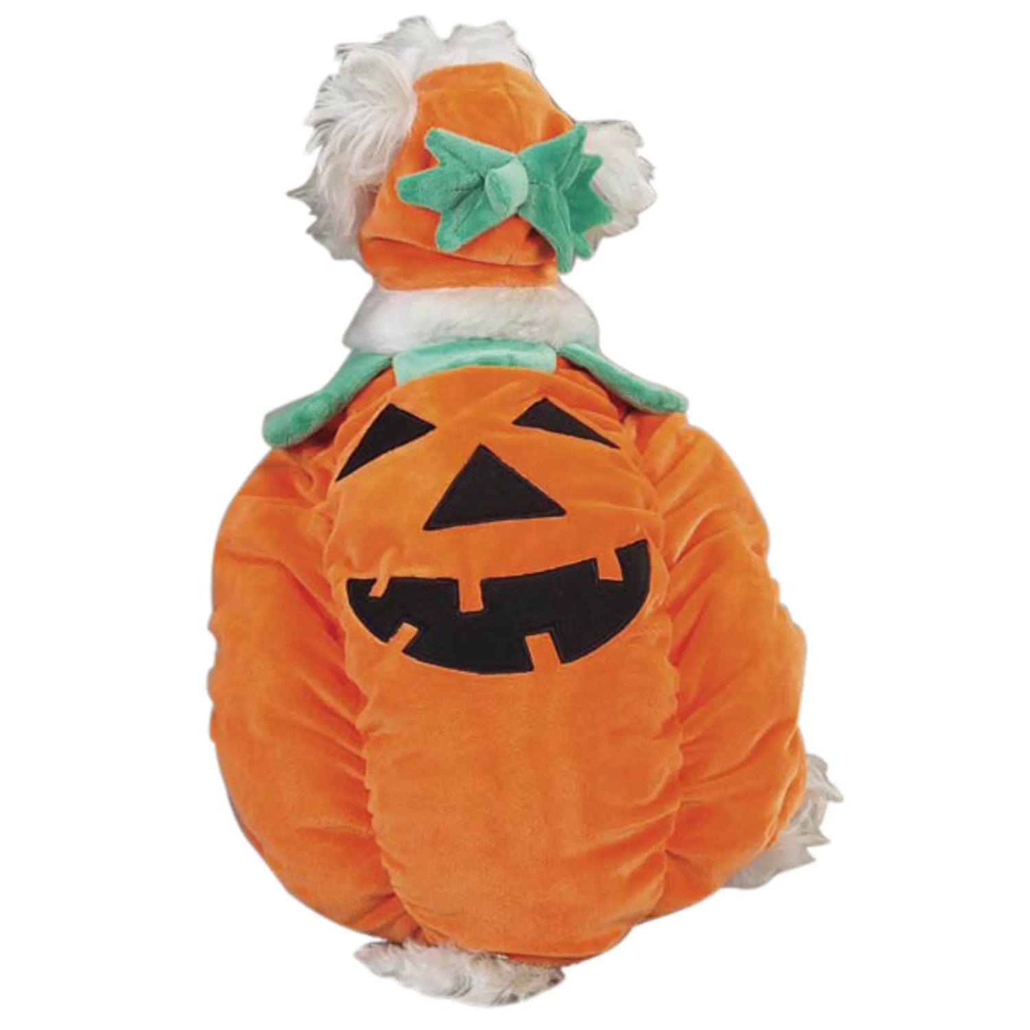 Pet Costumes